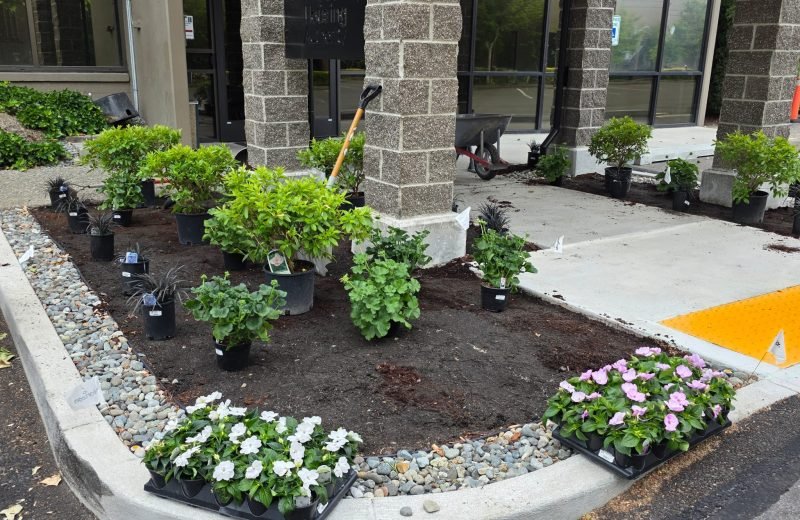 WhatsApp Image 2025-08-19 at 2.53.07 PM (5)